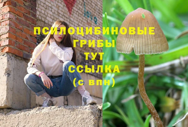 каннабис Ельня