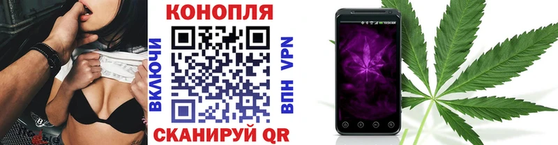 Канабис план  blacksprut зеркало  Карабаново 